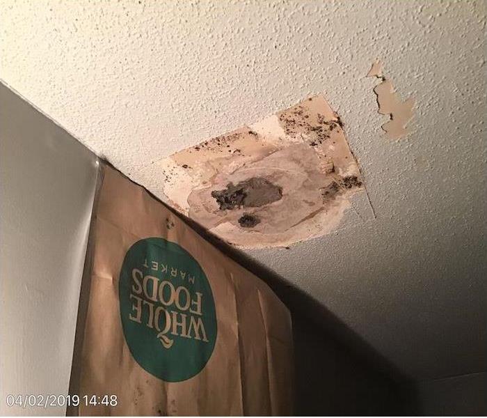 mold growth on bathroom ceiling