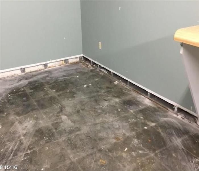 Flooring has been removed and the drywall removed about 2 inches above the floor