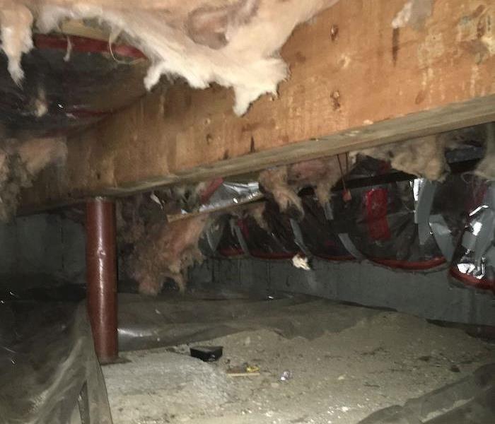 Crawl Space with insulation and mold damage