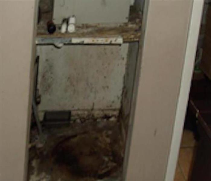 Photo of inside of a closet with mold growth