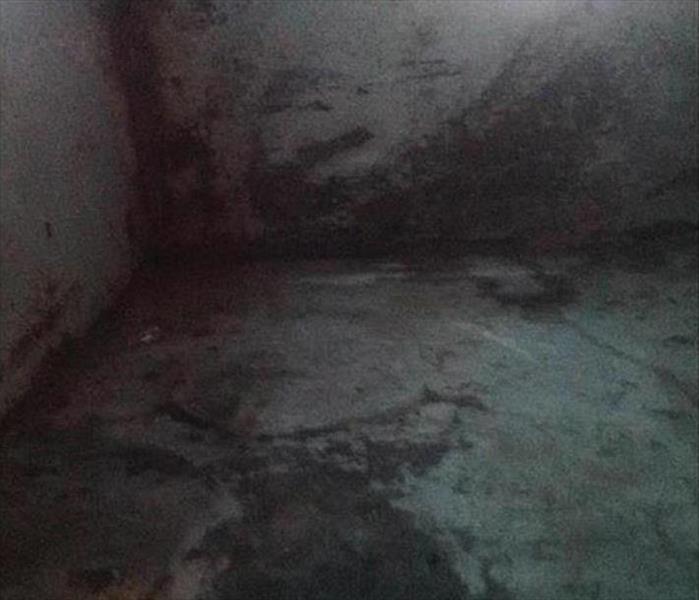 Severe mold growth on the walls and floor of a basement
