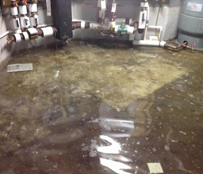 Photo of a utility room with several inches of standing water