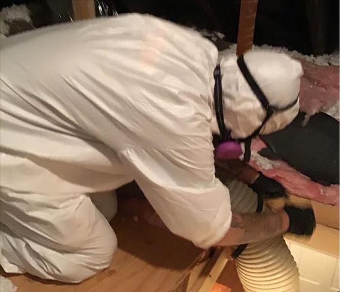 employee wearing tyvek PPE in attic