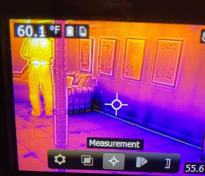 Picture of a thermal image screen