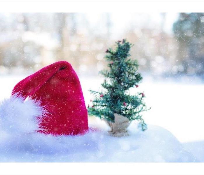 Santa hat and small Christmas tree